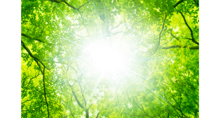 環境データを活用するEnvironmentAPI